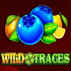 Wild Traces slot visual from Amusnet Interactive available on Levels Up Casino.com
